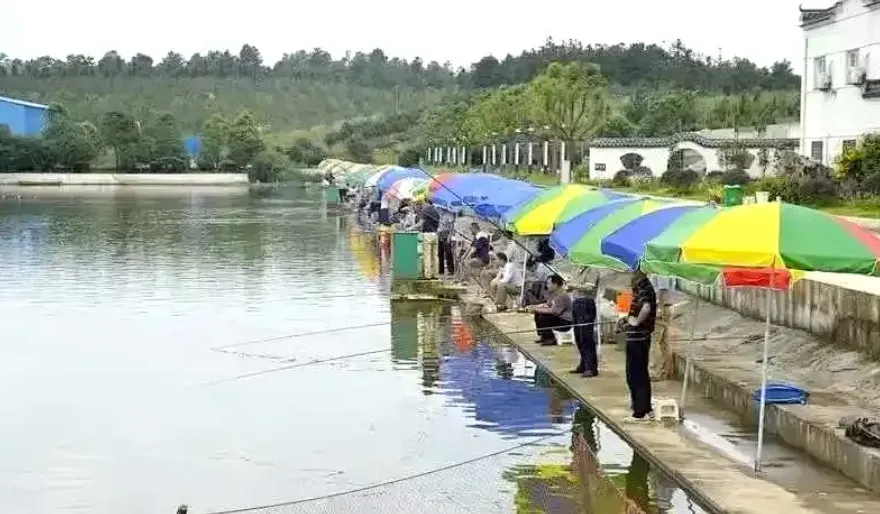 65206185c3a75d533327135f3a55ba94-sz_577993