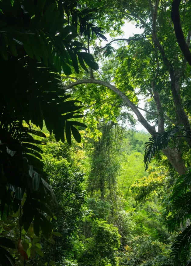 658aa9113a5944cca8ccd99cc4a5702b-sz_1651420 658aa9113a5944cca8ccd99cc4a5702b-sz_1651420