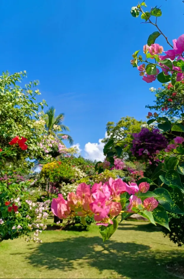 6591f11b1620d95243496b467e79f2d3-sz_1627531 6591f11b1620d95243496b467e79f2d3-sz_1627531