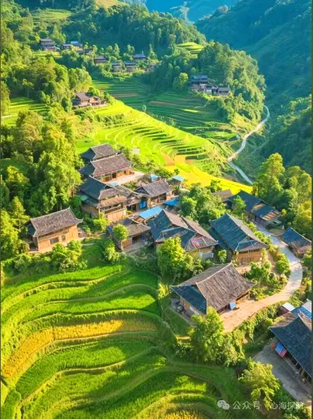 65ae4998012dcc7cb98cd7510ae4b3e7-sz_299050 65ae4998012dcc7cb98cd7510ae4b3e7-sz_299050