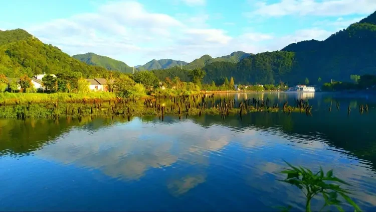 65d13c1c986051c769520a556f0ad11e-sz_264364 65d13c1c986051c769520a556f0ad11e-sz_264364