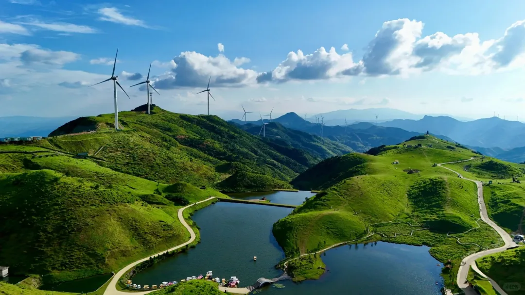 65dae8b92472374f46834200529966f7-sz_546966