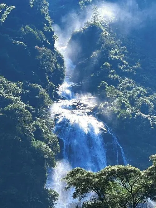 65ee3f524a45c60100b0a07a8931d810-sz_76918