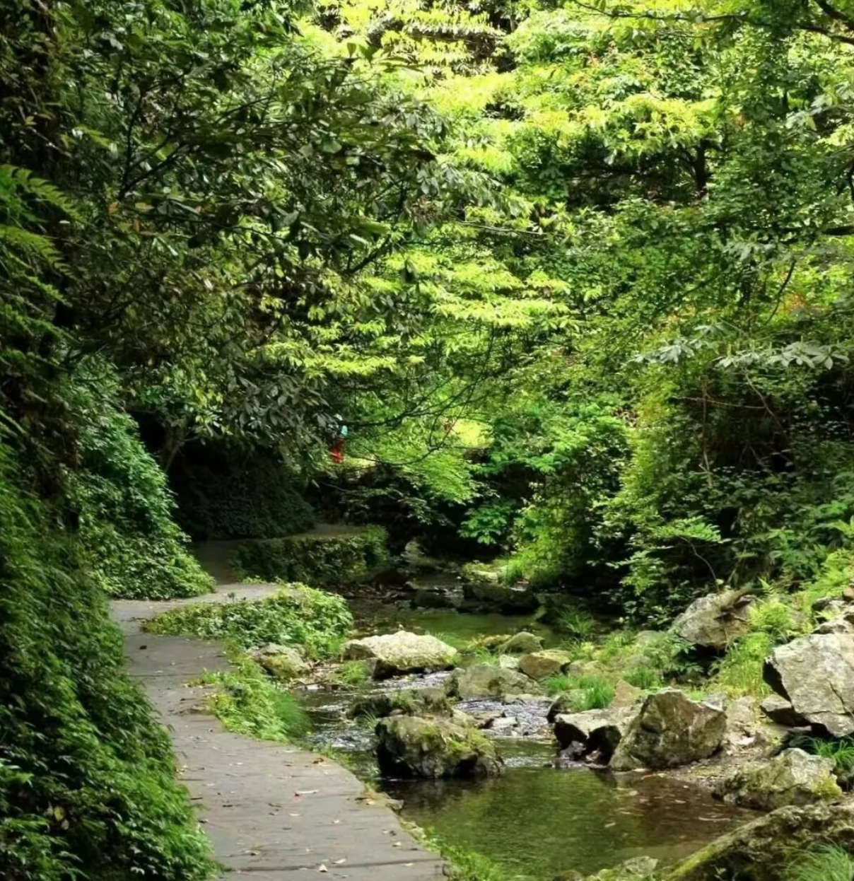 65f94c1a173644119cb49ae672bd9d6d 65f94c1a173644119cb49ae672bd9d6d