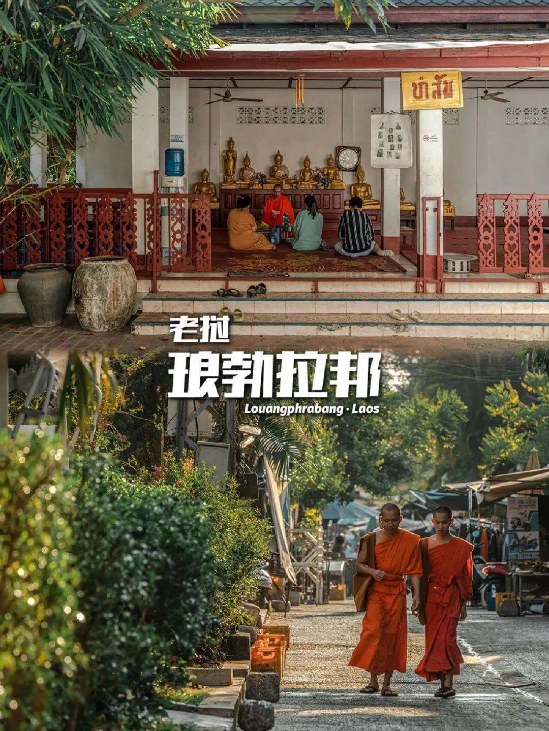 6618c050818c93301230ae7e9f1e1c02-sz_311538 6618c050818c93301230ae7e9f1e1c02-sz_311538