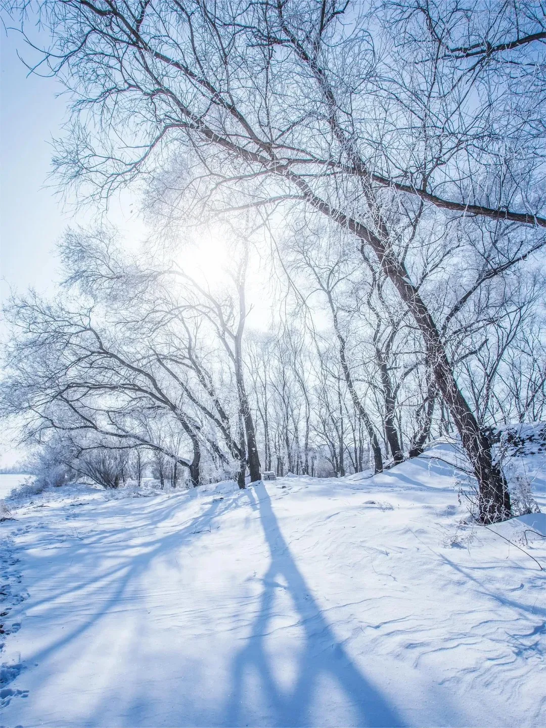 66322244dcaba15e5f31d69f070a95b7-sz_692672 66322244dcaba15e5f31d69f070a95b7-sz_692672