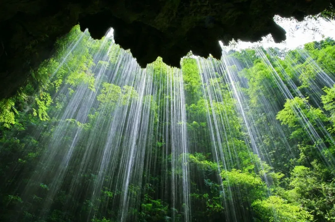 66345f48e16f076e56e9edb11ad3df3b-sz_170636