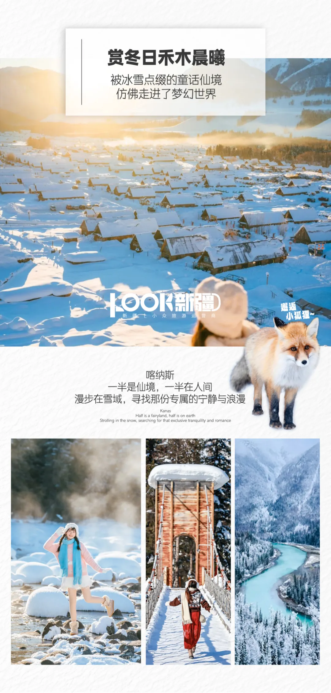 6643ca01f7d5f4f1ed0b160f22092d00-sz_17350245