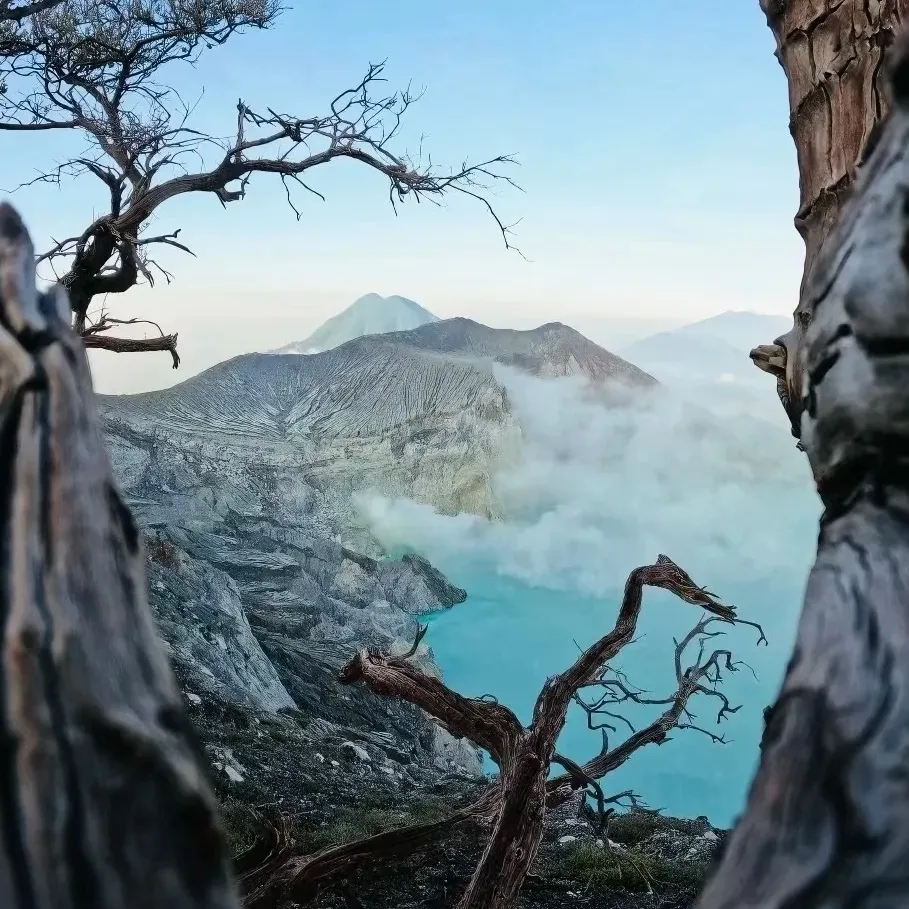 6658cd556bff27945ff74f7f699c41a2-sz_316292