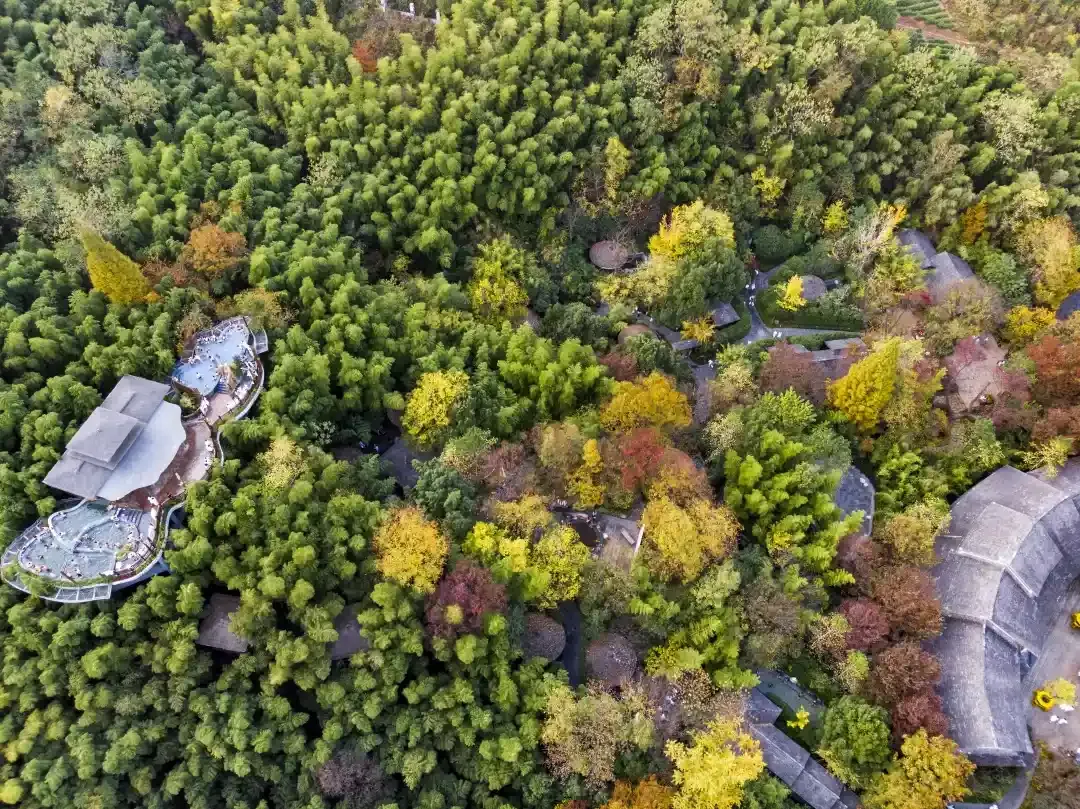 667a02cc5226bc3e68a69b87745431cc-sz_2581290 667a02cc5226bc3e68a69b87745431cc-sz_2581290