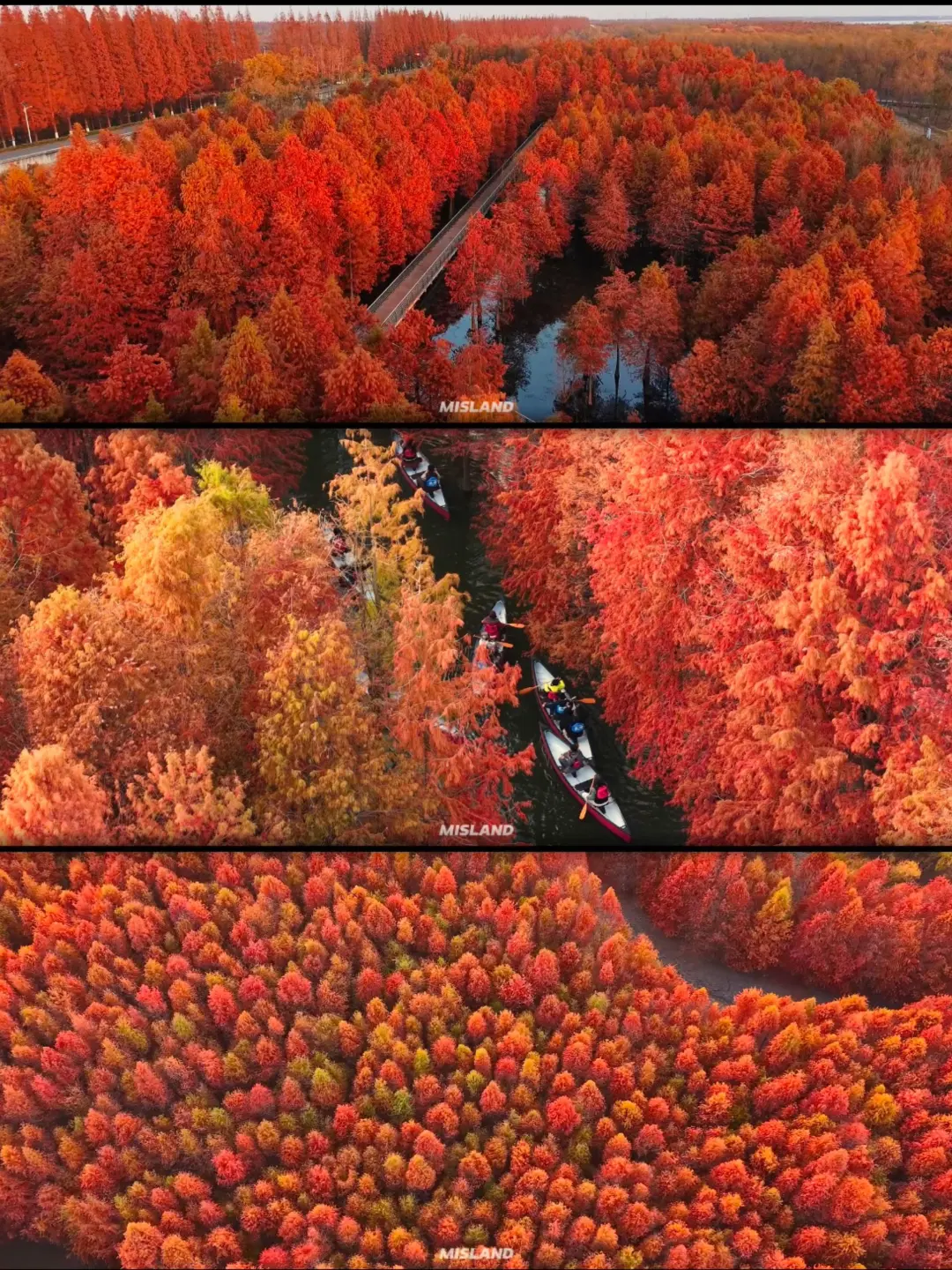 66a44d49229014a1b65a8bd51524f5f5-sz_2122238 66a44d49229014a1b65a8bd51524f5f5-sz_2122238