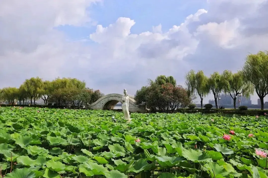 66a6c543bf353300cb7e41e79d1db986-sz_153732 66a6c543bf353300cb7e41e79d1db986-sz_153732