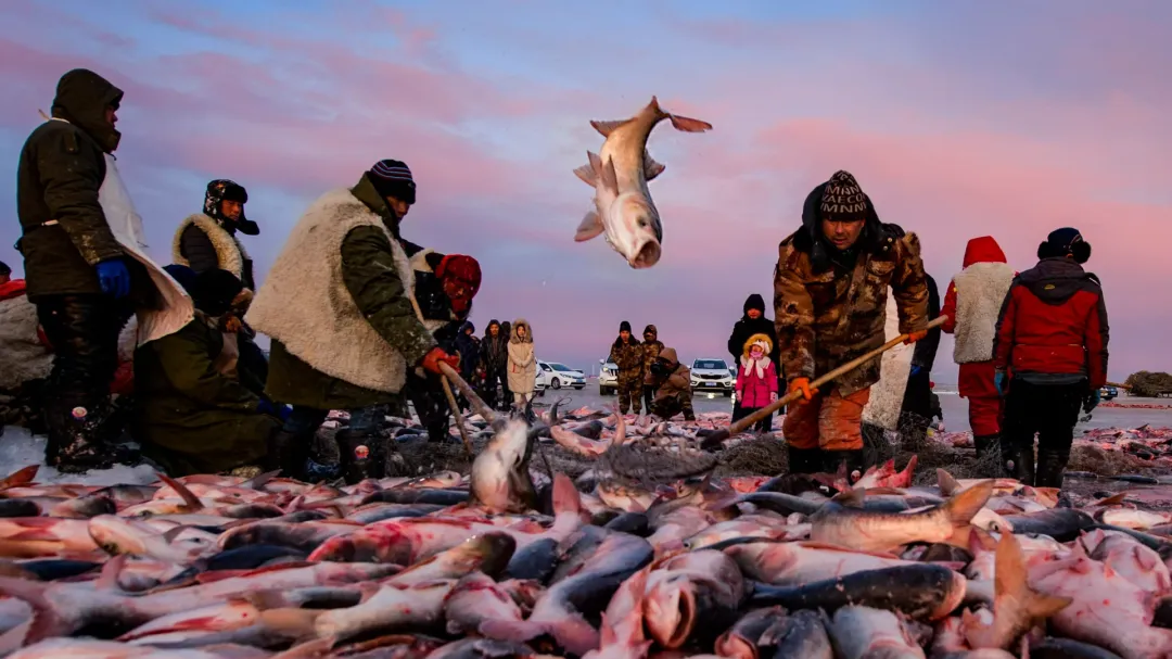 66b0821a9c1c0beb6174ac309710ab98-sz_2311439-1