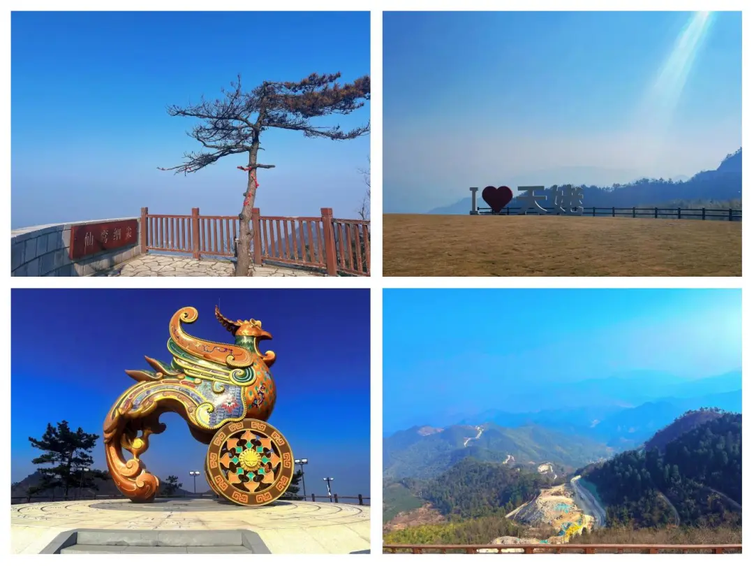 66cb30c9e33cf15881e21bdf9aeb20c3-sz_174249 66cb30c9e33cf15881e21bdf9aeb20c3-sz_174249