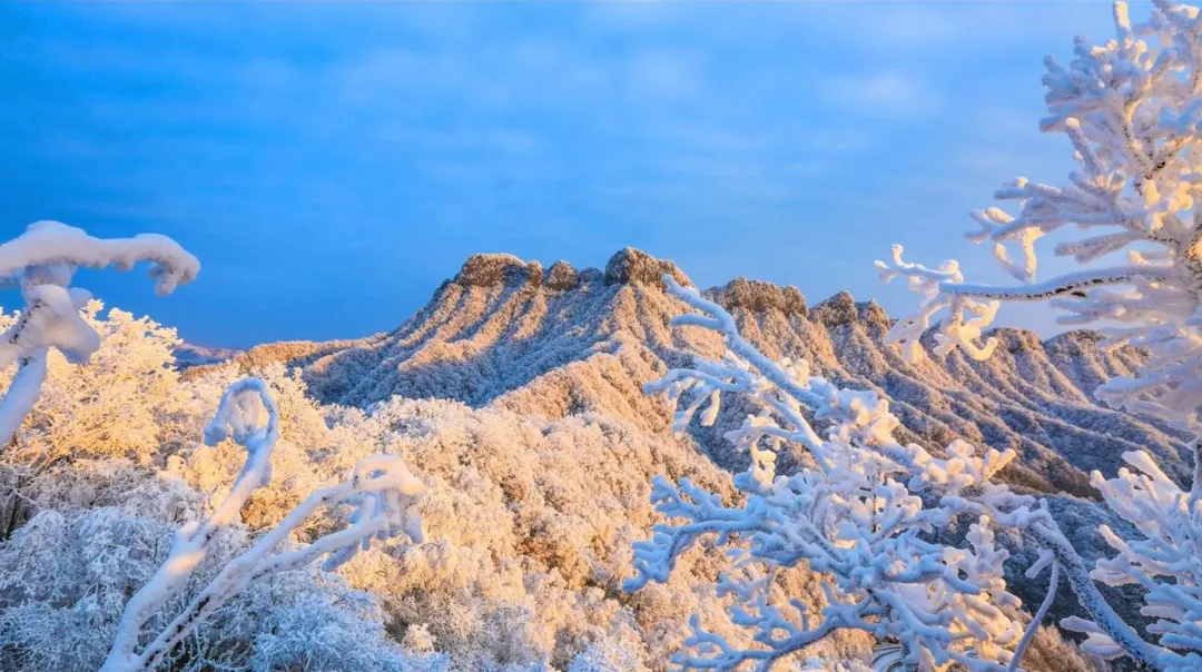 6742c4265cd7cc61b9d38f59ec8476ce-sz_2828272