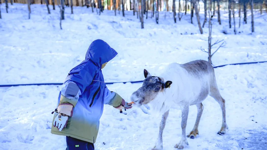 6759fa9433020a5776b31232e5535a80-sz_3632489 6759fa9433020a5776b31232e5535a80-sz_3632489