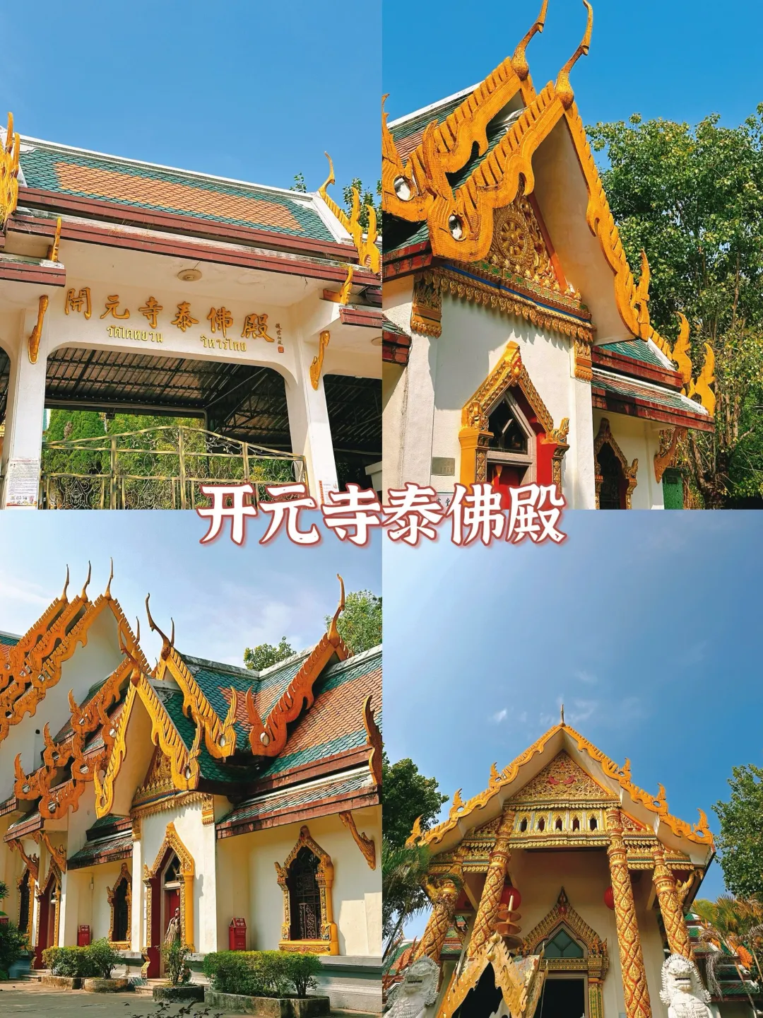 677956b5166b6990aa1fbc3b2efc43d9-sz_1240349