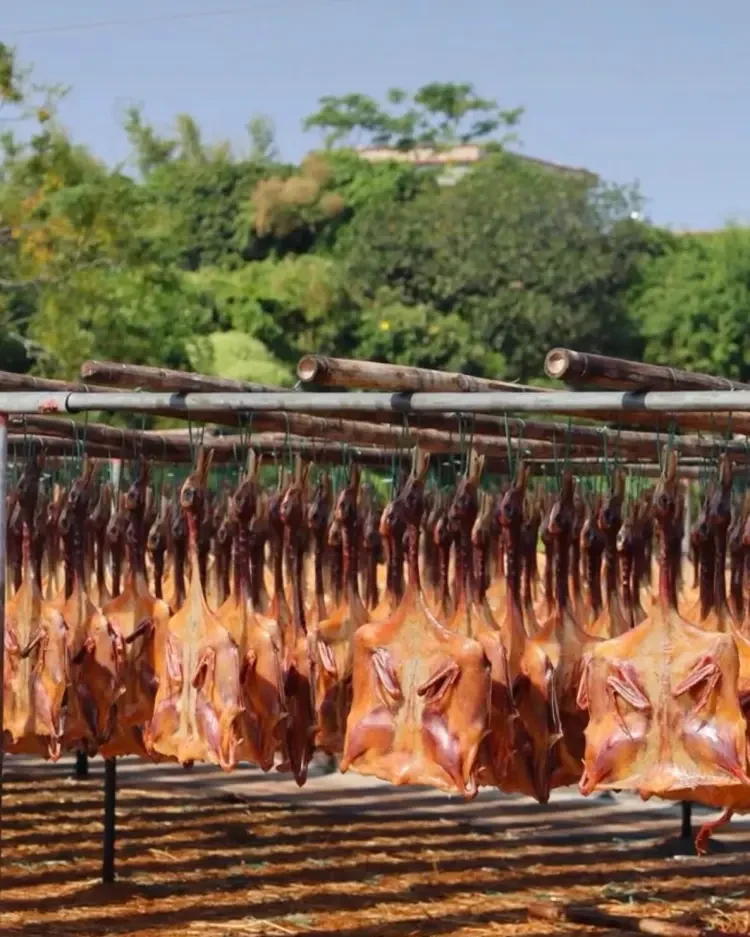 6795d095eaf6a081aab23926c2b88324-sz_219256