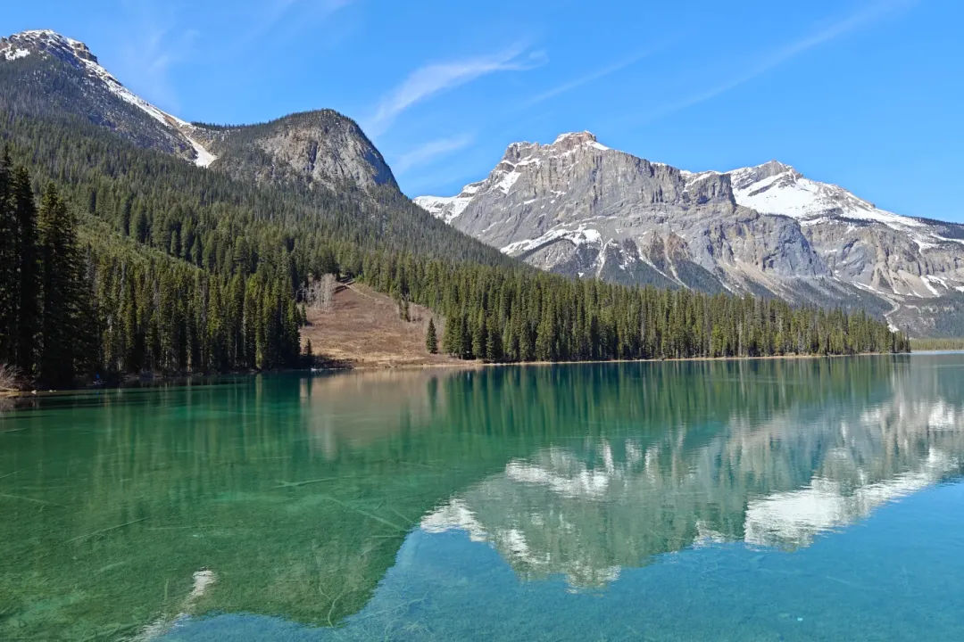 679a771c7cf7ee9632676197440fa87b-sz_2470169 679a771c7cf7ee9632676197440fa87b-sz_2470169