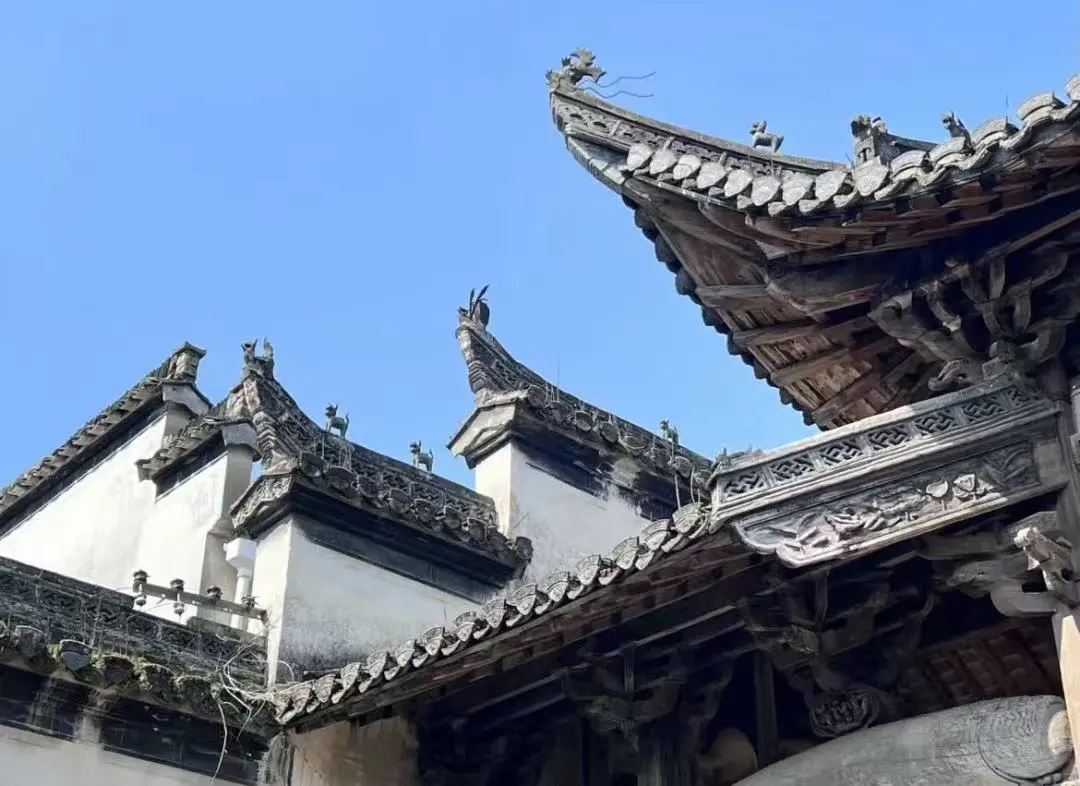 67b47541b3ce012d99caa95b76e0c195-sz_112128 67b47541b3ce012d99caa95b76e0c195-sz_112128