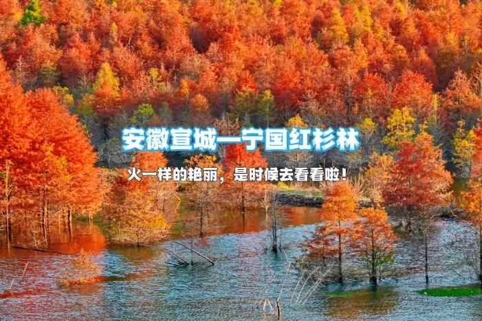 67b4d4bce54d11752b2540a48c98c6e7-sz_943120 67b4d4bce54d11752b2540a48c98c6e7-sz_943120