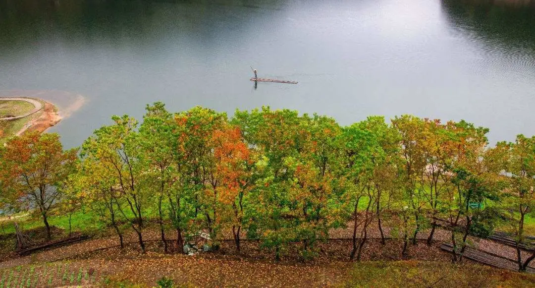 67f5391931f6a3e8d2b839547e777030-sz_126756 67f5391931f6a3e8d2b839547e777030-sz_126756