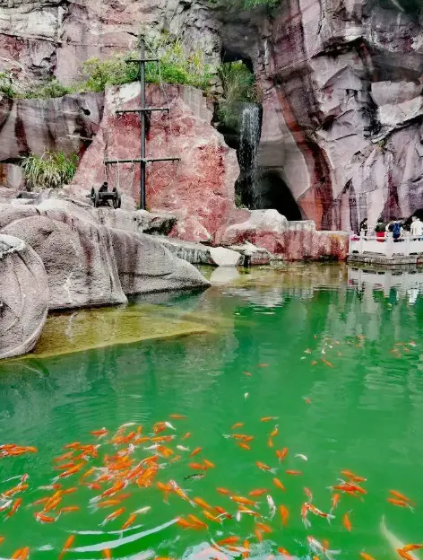 6829ff6b1c9fc9011a5757bba94d990c-sz_628696