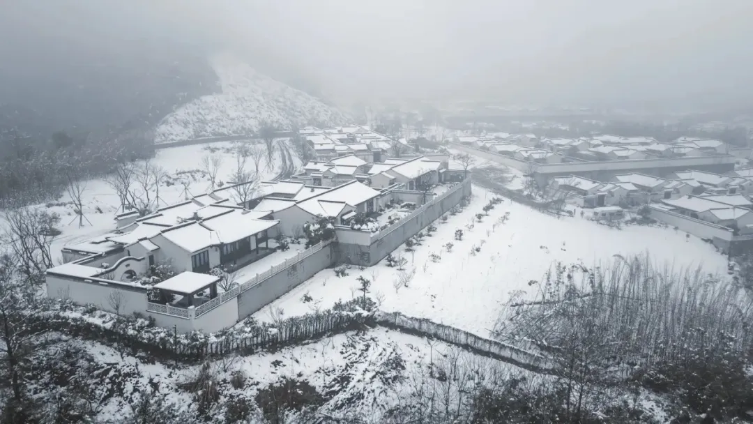 683c862d7a401b4873122de99046a784-sz_437360