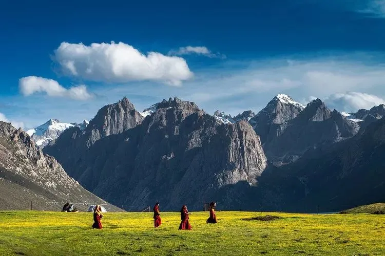 685491ffd6f672f86591d90e5b2395a6-sz_73179