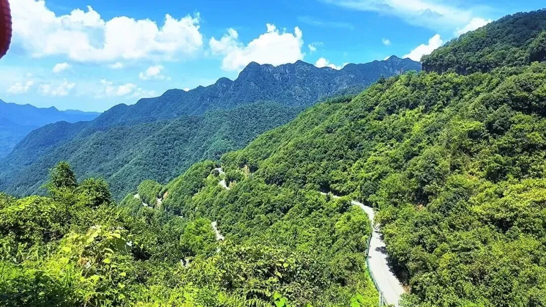 685cf0373264f5f687d62e4f0eff8bb6-sz_235920