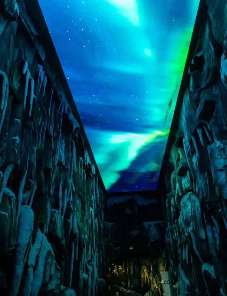 68787a950418a67eaab658fd3bb8d931-sz_161237