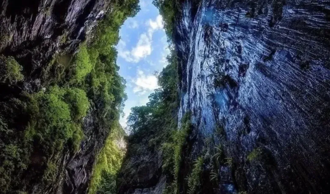 68bb6dab1b9e7e052bc9e6dd861cc22e-sz_2306247