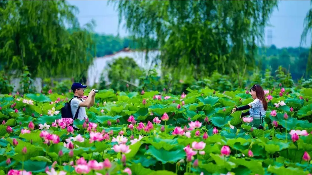 68c5ab93602e66d4a8a19797da4e3aff-sz_2946954