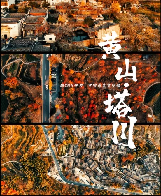 6906a147812dc12f0037427bd476adb5-sz_203652 6906a147812dc12f0037427bd476adb5-sz_203652