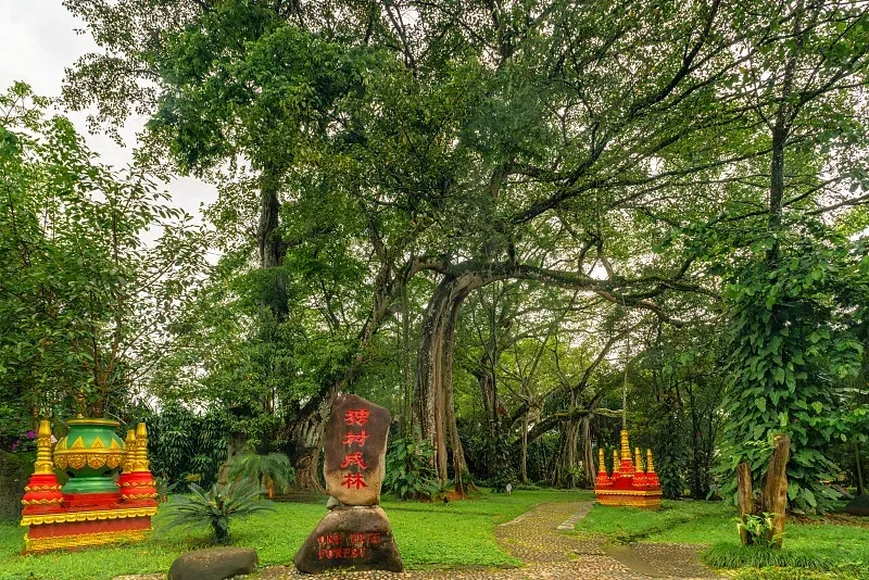 692b4751186ebfb1bdd41ea074c3eb98-sz_625973