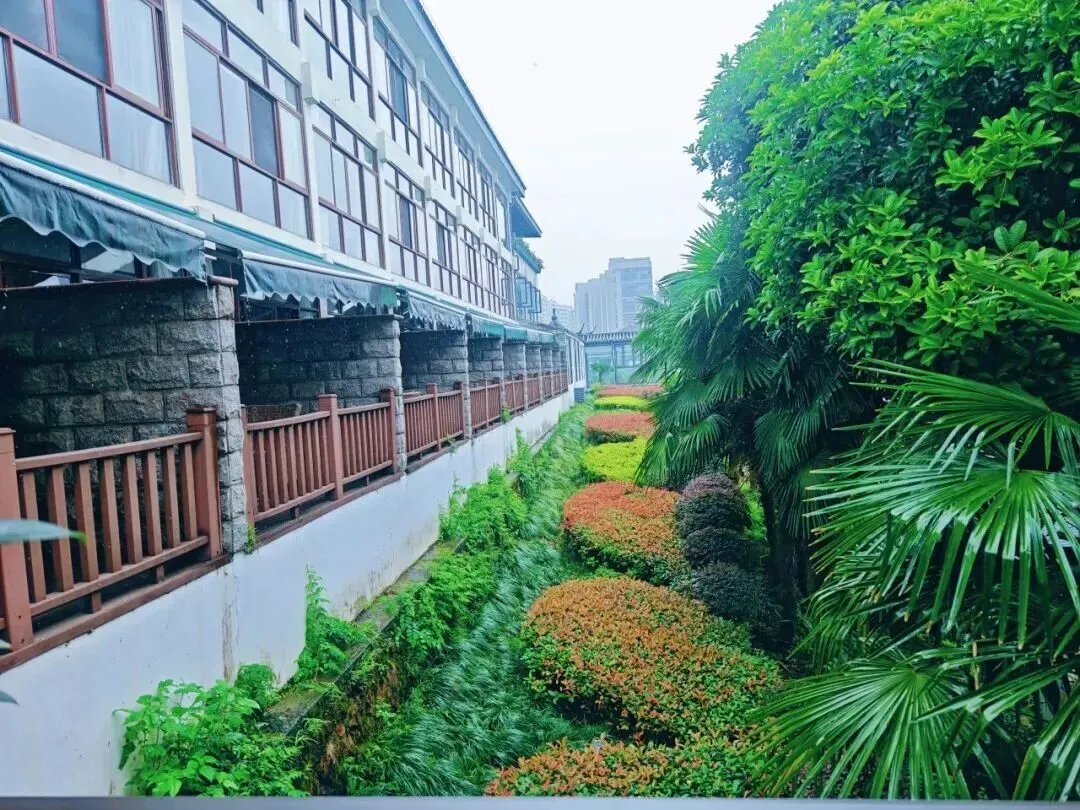 6934c872768c64cba3ac9ad83a37571a-sz_223394