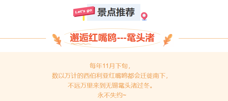 6943d4b70ebcfd6f631d8ef6ac91803c