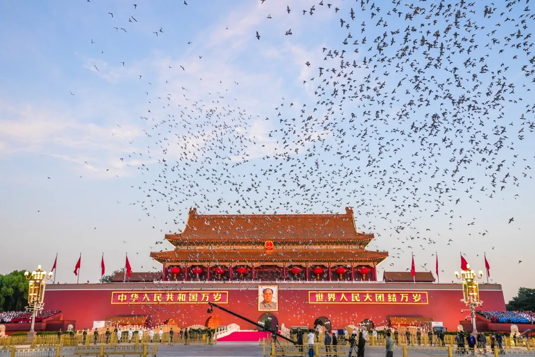 695b9a34edfcb748511d479d263b3096-sz_520092 695b9a34edfcb748511d479d263b3096-sz_520092