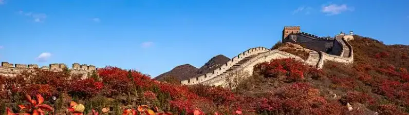 6966e6055240dde34231c9d12fe6181b-sz_320932