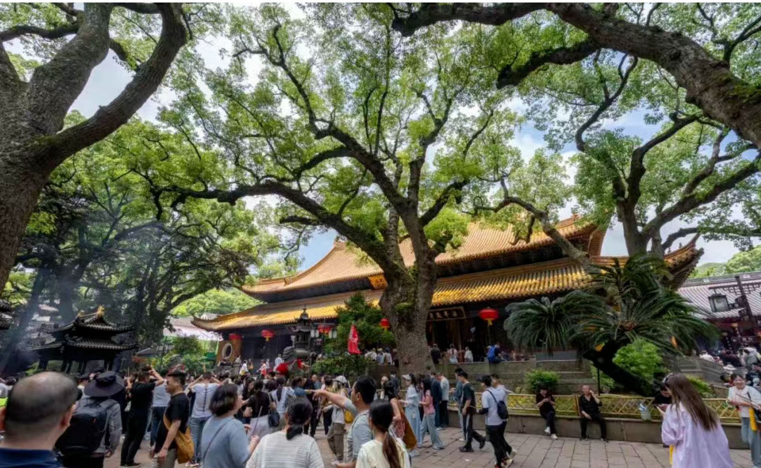 696bfa922fa58fa60ce1eaafb4eab5f8