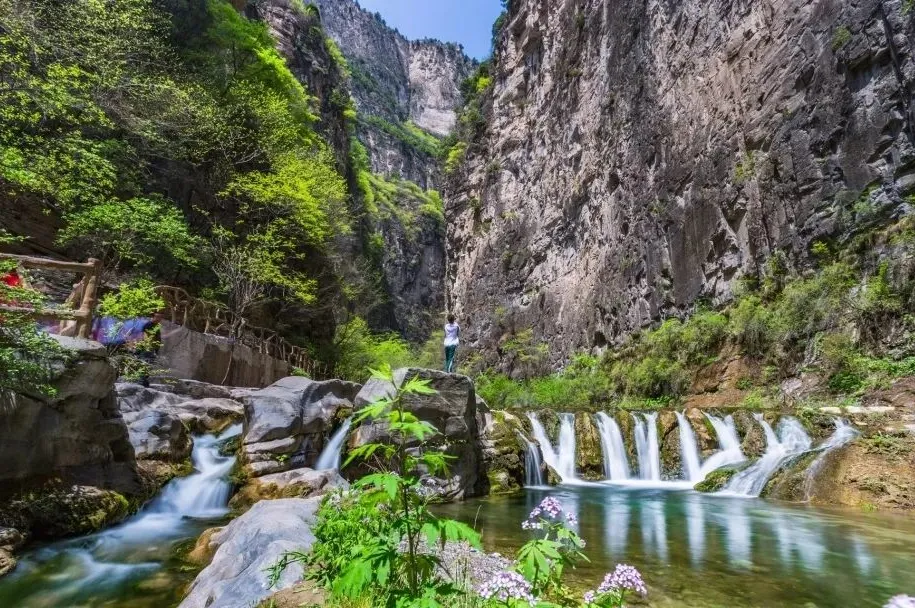 697ae674252f58e70fc357cc7d22f4f9-sz_219569 697ae674252f58e70fc357cc7d22f4f9-sz_219569