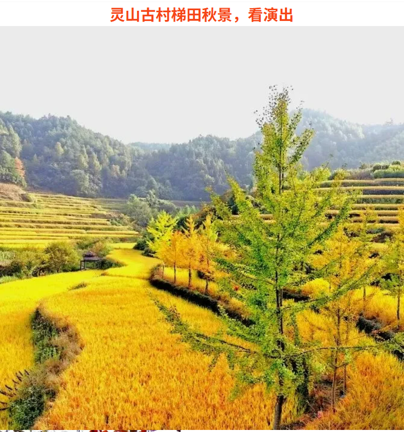 69945a32b5af2bc9a3a6ec141d2a2515 69945a32b5af2bc9a3a6ec141d2a2515