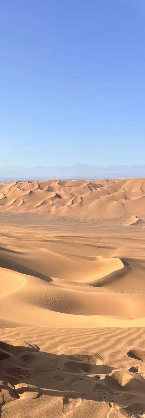 69a2d52cf1b4fa0336b9d0bb9f7ad413-sz_1769010 69a2d52cf1b4fa0336b9d0bb9f7ad413-sz_1769010