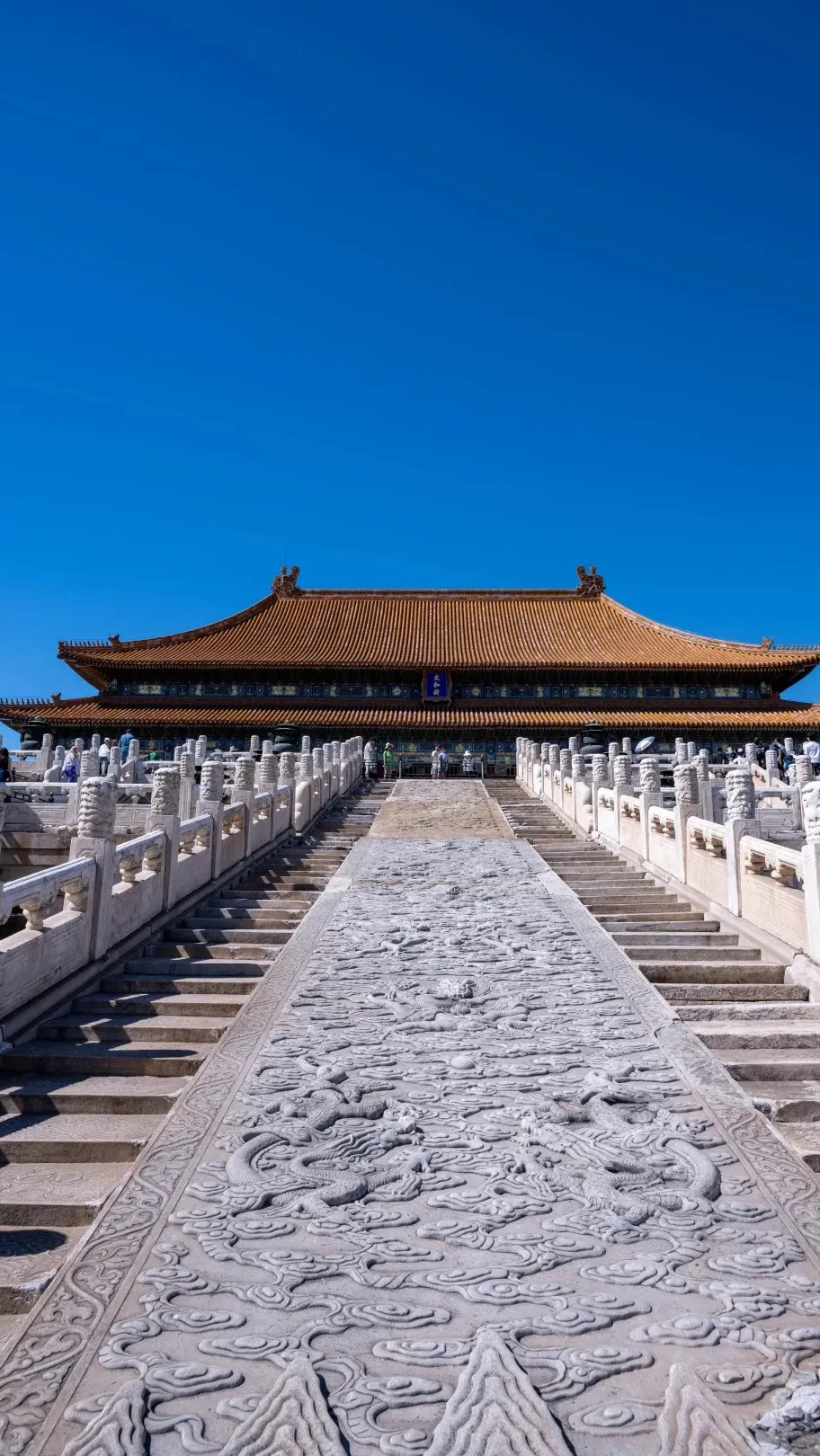 69a7ff8c014543c60172a0b4328dd930-sz_473895