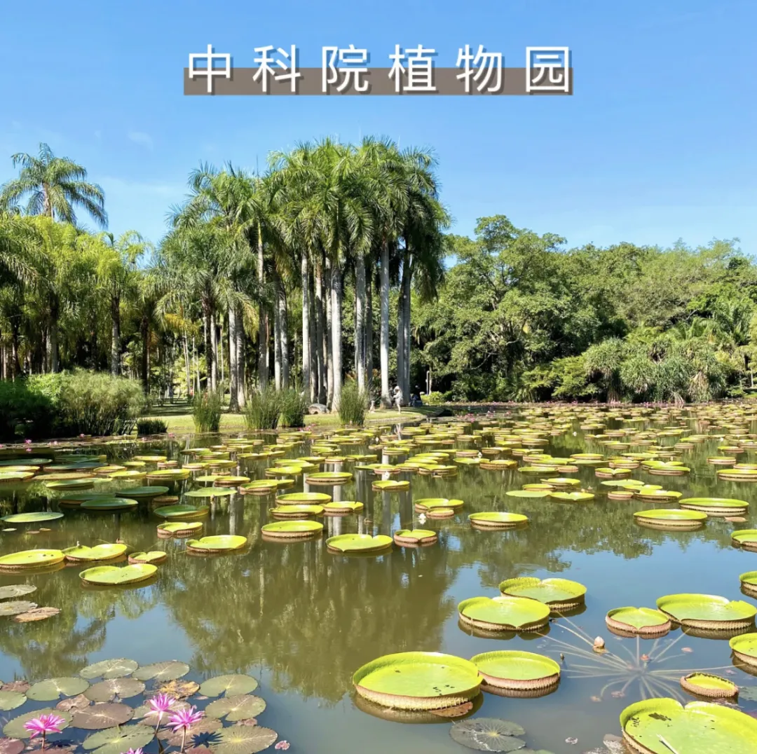 6a12700989e44831a88dd35bffb4ae9c-sz_1655616 6a12700989e44831a88dd35bffb4ae9c-sz_1655616