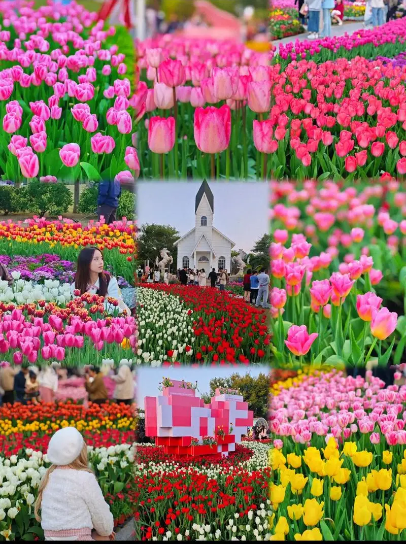 6a460eaf044782ab2e7ad5a055358407-sz_219270