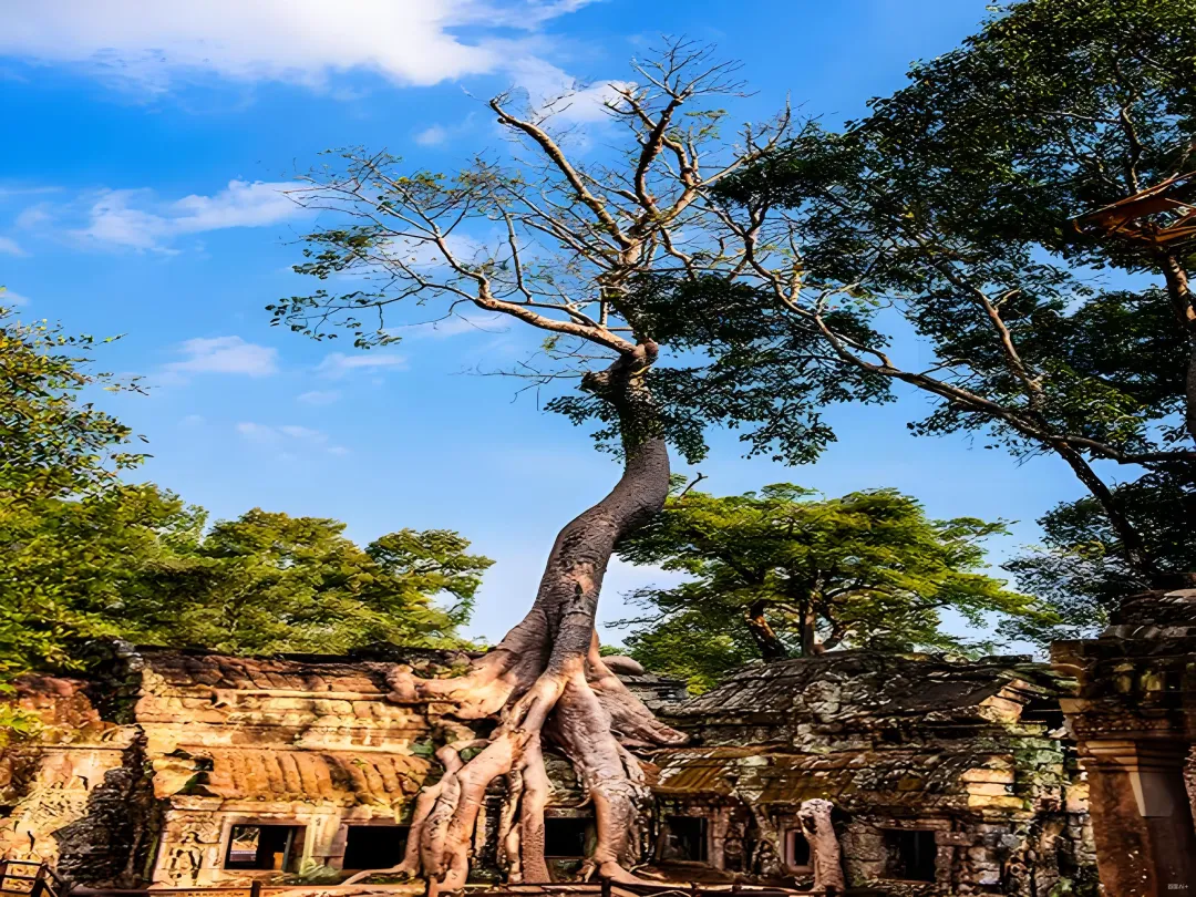 6ab488cf533ea9800b1ff7bd2989373b-sz_8121937