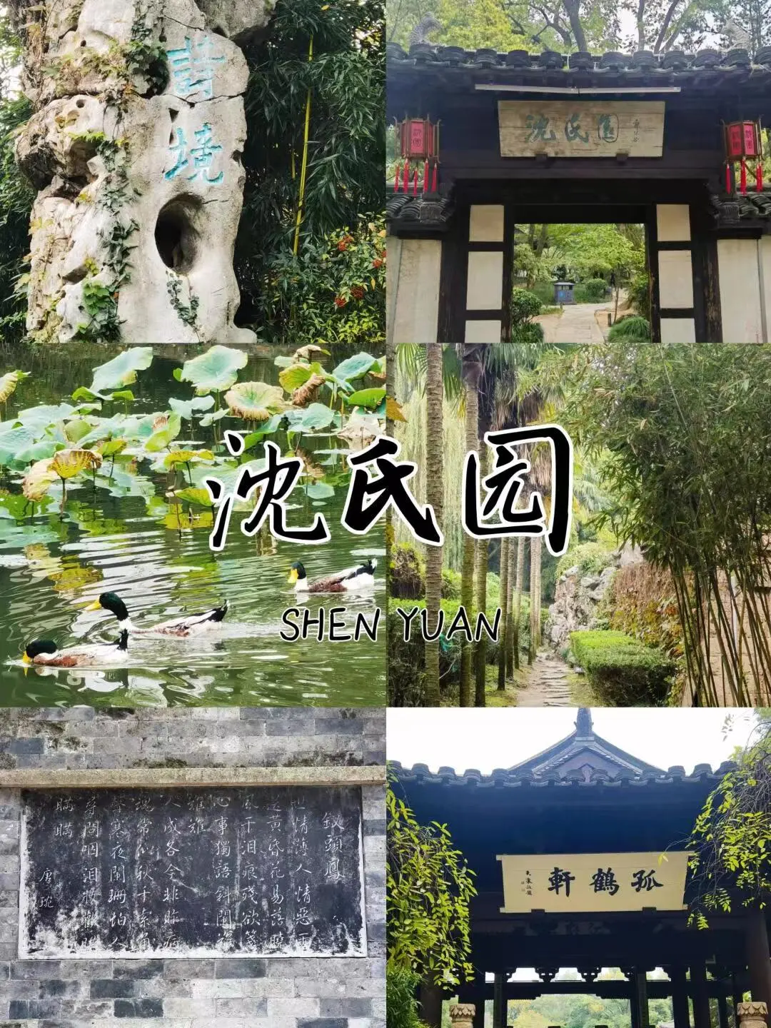 6adfb9327771e4559379b443a12288a3-sz_366325