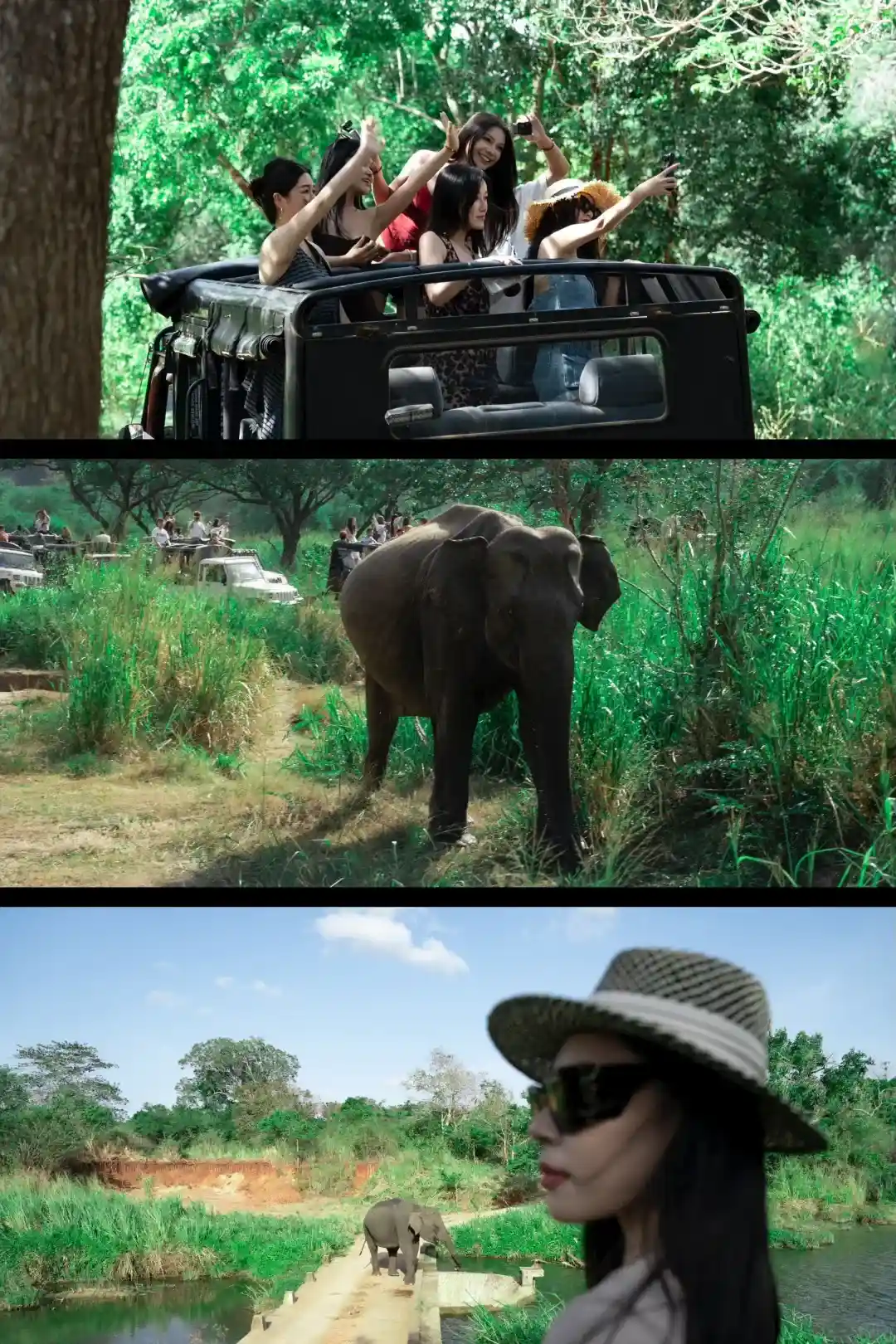 6b176efcd5238d0659ed72a02c5f12e2