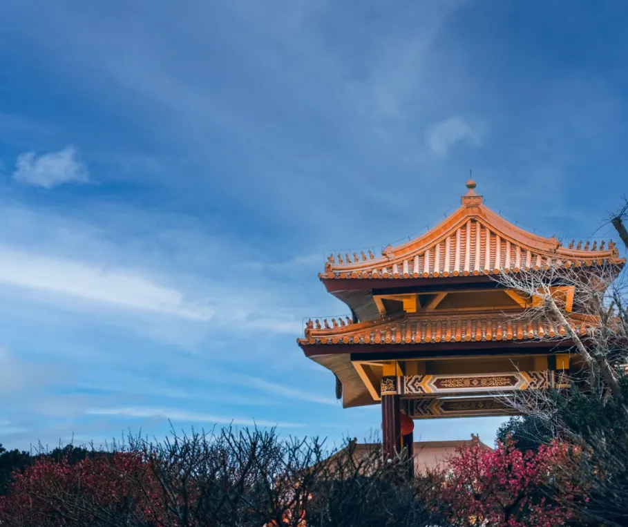 6b3064403f5e5375a81aeb3c7a800a4d-sz_644917 6b3064403f5e5375a81aeb3c7a800a4d-sz_644917